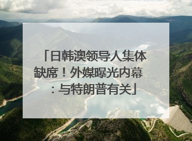 日韩澳领导人集体缺席！外媒曝光内幕：与特朗普有关