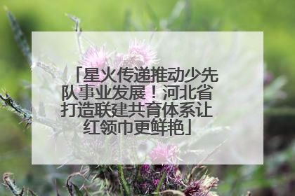 星火传递推动少先队事业发展！河北省打造联建共育体系让红领巾更鲜艳