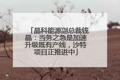 晶科能源副总裁钱晶：当务之急是加速升级既有产线，沙特项目正推进中