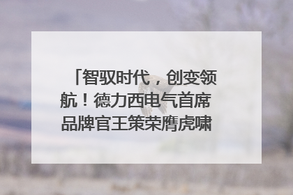 智驭时代，创变领航！德力西电气首席品牌官王策荣膺虎啸奖年度品牌人物