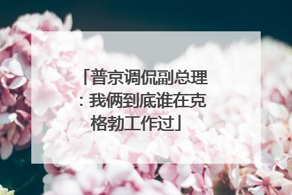 普京调侃副总理：我俩到底谁在克格勃工作过