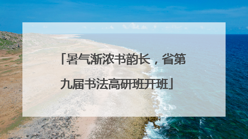 暑气渐浓书韵长，省第九届书法高研班开班