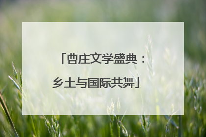 曹庄文学盛典：乡土与国际共舞