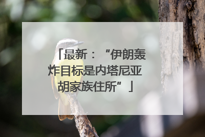 最新：“伊朗轰炸目标是内塔尼亚胡家族住所”
