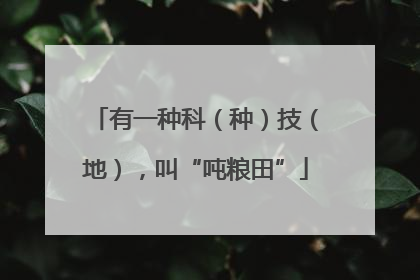 有一种科（种）技（地），叫“吨粮田”