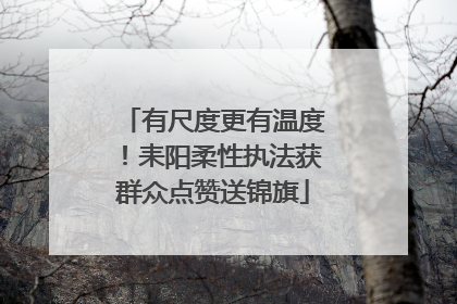 有尺度更有温度！耒阳柔性执法获群众点赞送锦旗