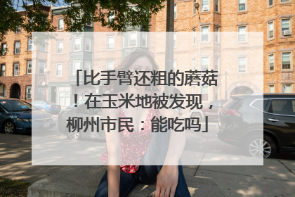 比手臂还粗的蘑菇！在玉米地被发现，柳州市民：能吃吗