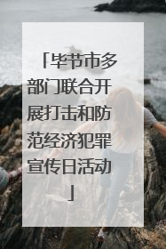 毕节市多部门联合开展打击和防范经济犯罪宣传日活动
