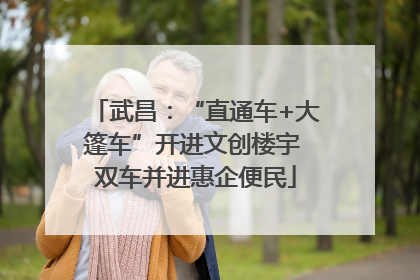 武昌：“直通车+大篷车”开进文创楼宇 双车并进惠企便民