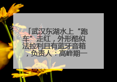 武汉东湖水上“跑车”走红，外形酷似法拉利且有蓝牙音箱，负责人：高峰期一两百人排队
