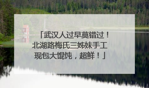 武汉人过早莫错过！北湖路梅氏三姊妹手工现包大馄饨，超鲜！