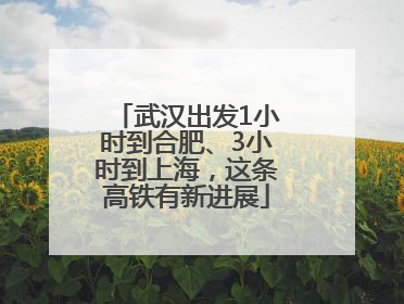 武汉出发1小时到合肥、3小时到上海，这条高铁有新进展