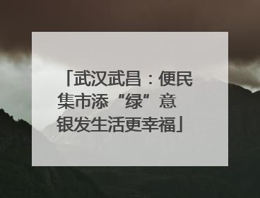 武汉武昌：便民集市添“绿”意 银发生活更幸福