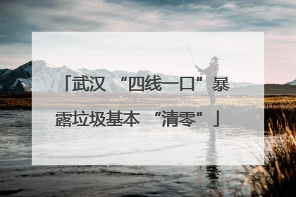 武汉 “四线一口”暴露垃圾基本 “清零”