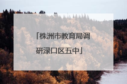 株洲市教育局调研渌口区五中