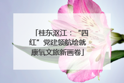 桂东沤江：“四红”党建领航绘就康氧文旅新画卷