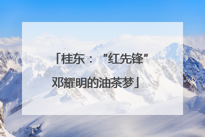 桂东：“红先锋”邓耀明的油茶梦