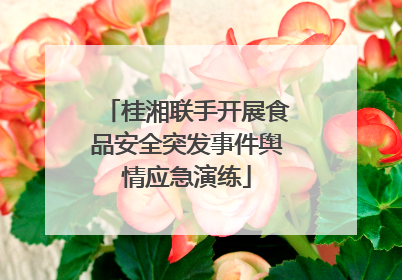 桂湘联手开展食品安全突发事件舆情应急演练