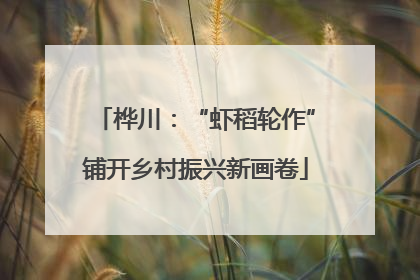 桦川：“虾稻轮作”铺开乡村振兴新画卷