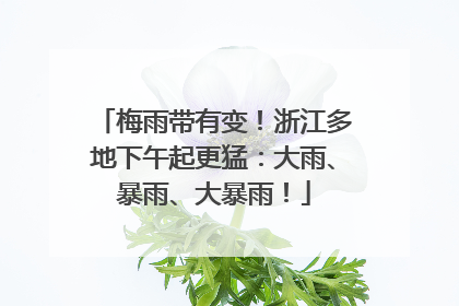 梅雨带有变！浙江多地下午起更猛：大雨、暴雨、大暴雨！