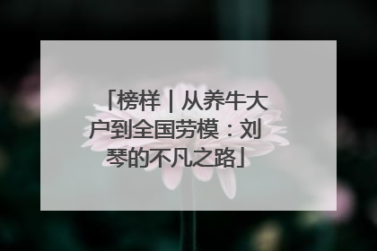 榜样｜从养牛大户到全国劳模：刘琴的不凡之路