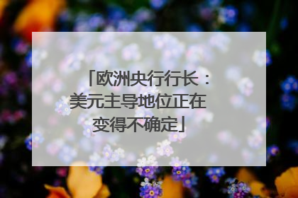 欧洲央行行长：美元主导地位正在变得不确定