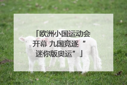 欧洲小国运动会开幕 九国竞逐“迷你版奥运”