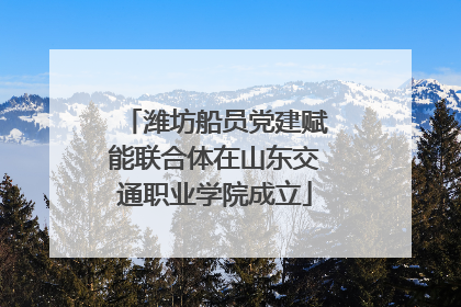 潍坊船员党建赋能联合体在山东交通职业学院成立