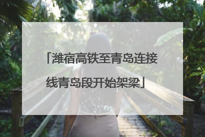 潍宿高铁至青岛连接线青岛段开始架梁