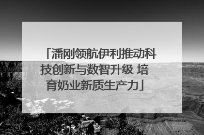 潘刚领航伊利推动科技创新与数智升级 培育奶业新质生产力