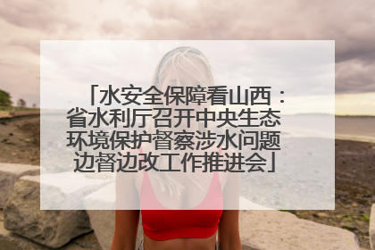 水安全保障看山西：省水利厅召开中央生态环境保护督察涉水问题边督边改工作推进会