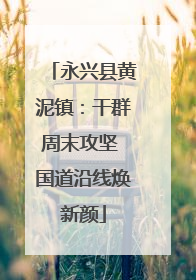 永兴县黄泥镇：干群周末攻坚 国道沿线焕新颜
