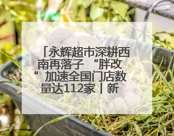永辉超市深耕西南再落子 “胖改”加速全国门店数量达112家丨新经济观察