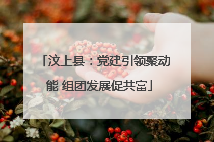 汶上县：党建引领聚动能 组团发展促共富