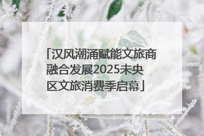 汉风潮涌赋能文旅商融合发展2025未央区文旅消费季启幕