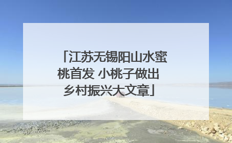 江苏无锡阳山水蜜桃首发 小桃子做出乡村振兴大文章