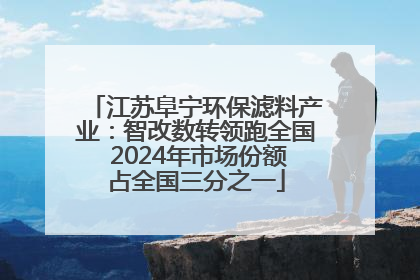 江苏阜宁环保滤料产业：智改数转领跑全国 2024年市场份额占全国三分之一