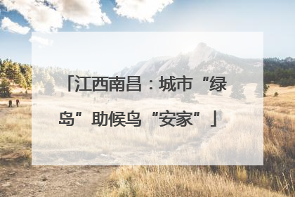 江西南昌：城市“绿岛”助候鸟“安家”