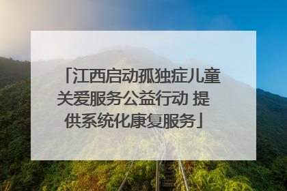 江西启动孤独症儿童关爱服务公益行动 提供系统化康复服务