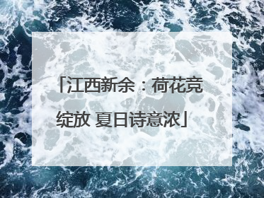 江西新余：荷花竞绽放 夏日诗意浓
