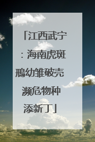 江西武宁：海南虎斑鳽幼雏破壳 濒危物种添新丁