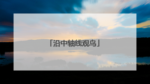 沿中轴线观鸟