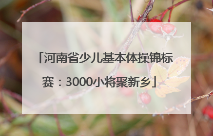 河南省少儿基本体操锦标赛：3000小将聚新乡