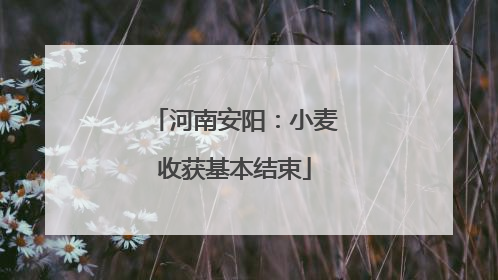 河南安阳：小麦收获基本结束