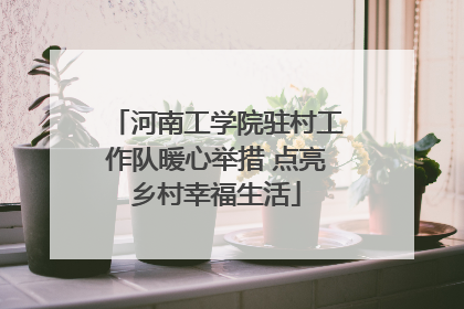 河南工学院驻村工作队暖心举措 点亮乡村幸福生活