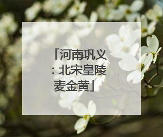 河南巩义：北宋皇陵麦金黄