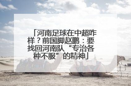 河南足球在中超咋样？前国脚赵鹏：要找回河南队“专治各种不服”的精神