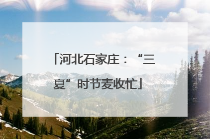 河北石家庄：“三夏”时节麦收忙