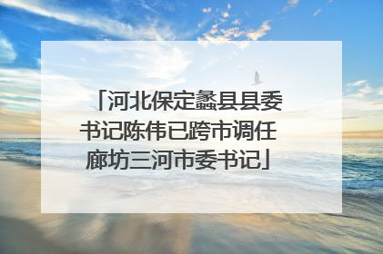 河北保定蠡县县委书记陈伟已跨市调任廊坊三河市委书记