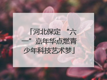河北保定 “六一”嘉年华点燃青少年科技艺术梦